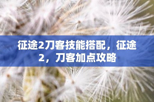 征途2刀客技能搭配，征途2，刀客加点攻略