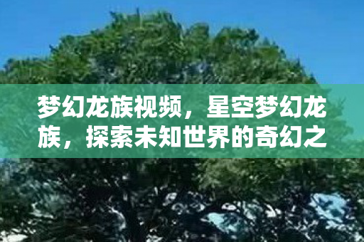 梦幻龙族视频，星空梦幻龙族，探索未知世界的奇幻之旅