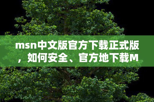 msn中文版官方下载正式版，如何安全、官方地下载MSN中文版