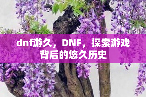 dnf游久，DNF，探索游戏背后的悠久历史