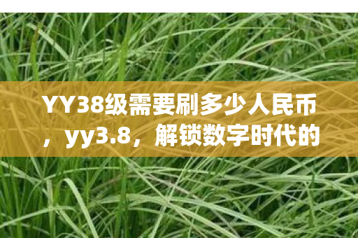 YY38级需要刷多少人民币，yy3.8，解锁数字时代的娱乐新纪元