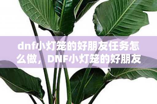 dnf小灯笼的好朋友任务怎么做，DNF小灯笼的好朋友，一段跨越次元的友谊