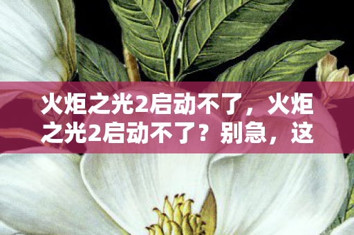 火炬之光2启动不了，火炬之光2启动不了？别急，这里有解决方案！