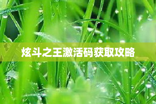 炫斗之王激活码获取攻略 炫斗之王激活码获取攻略