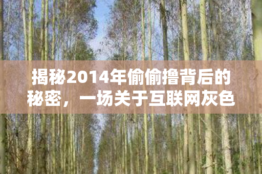 揭秘2014年偷偷撸背后的秘密，一场关于互联网灰色产业的深度调查