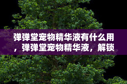 弹弹堂宠物精华液有什么用，弹弹堂宠物精华液，解锁宠物养成新境界