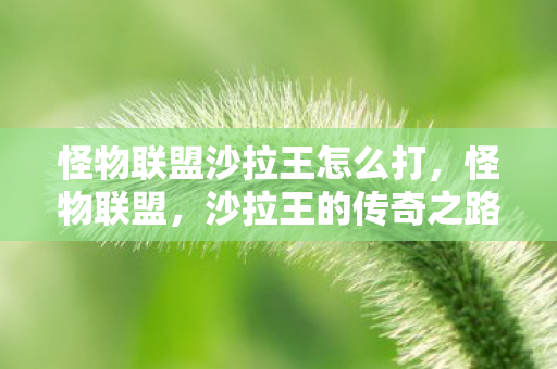 怪物联盟沙拉王怎么打，怪物联盟，沙拉王的传奇之路