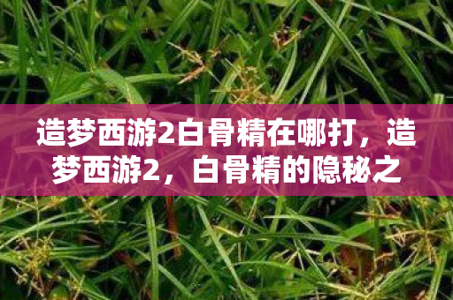 造梦西游2白骨精在哪打，造梦西游2，白骨精的隐秘之地