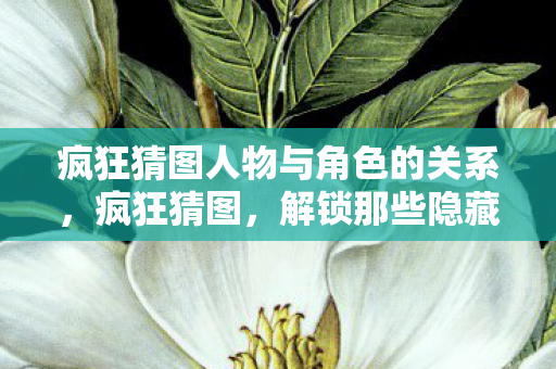 疯狂猜图人物与角色的关系,疯狂猜图,解锁那些隐藏的人物与角色 疯狂猜图人物与角色的关系,疯狂猜图,解锁那些隐藏的人物与角色