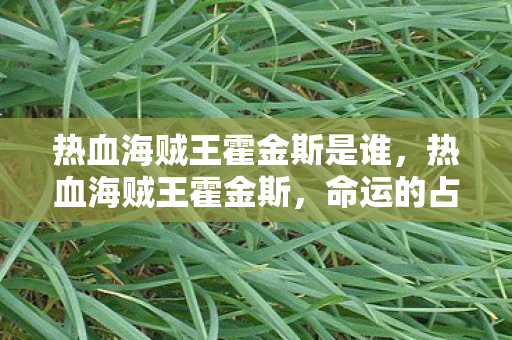 热血海贼王霍金斯是谁，热血海贼王霍金斯，命运的占卜与不屈的航海