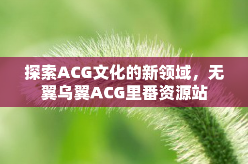 探索ACG文化的新领域，无翼乌翼ACG里番资源站