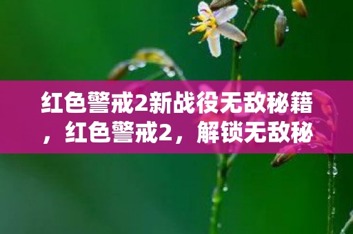 红色警戒2新战役无敌秘籍，红色警戒2，解锁无敌秘籍，称霸战场！