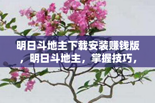 明日斗地主下载安装赚钱版，明日斗地主，掌握技巧，轻松赢牌