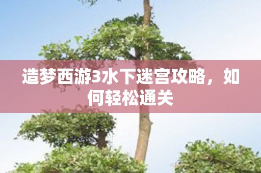 造梦西游3水下迷宫攻略，如何轻松通关