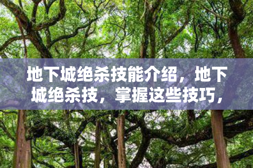 地下城绝杀技能介绍，地下城绝杀技，掌握这些技巧，让你在副本中如虎添翼