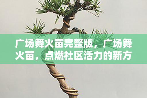 广场舞火苗完整版，广场舞火苗，点燃社区活力的新方式