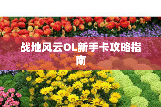 战地风云OL新手卡攻略指南