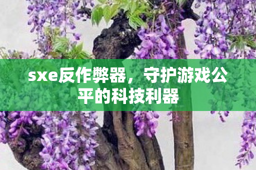sxe反作弊器，守护游戏公平的科技利器
