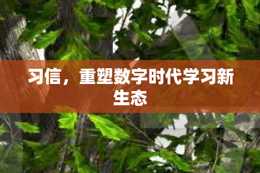 习信，重塑数字时代学习新生态