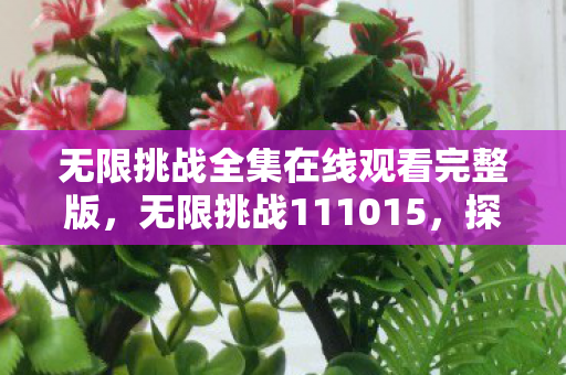 无限挑战全集在线观看完整版，无限挑战111015，探索未知的勇气与坚持