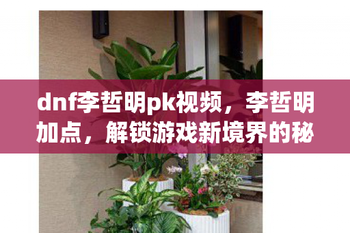 dnf李哲明pk视频，李哲明加点，解锁游戏新境界的秘诀