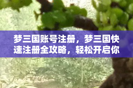 梦三国账号注册，梦三国快速注册全攻略，轻松开启你的三国之旅