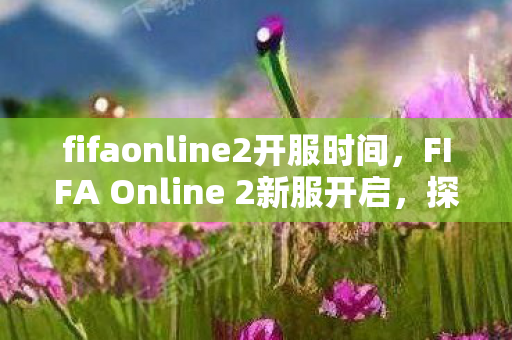 fifaonline2开服时间，FIFA Online 2新服开启，探索全新足球世界