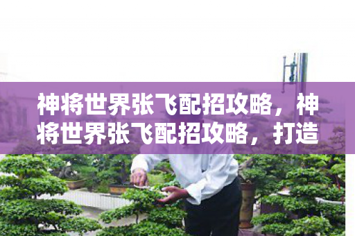 神将世界张飞配招攻略,神将世界张飞配招攻略,打造最强战将 神将世界张飞配招攻略,神将世界张飞配招攻略,打造最强战将