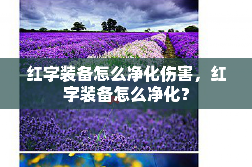 红字装备怎么净化伤害，红字装备怎么净化？