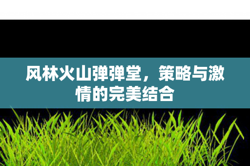风林火山弹弹堂，策略与激情的完美结合