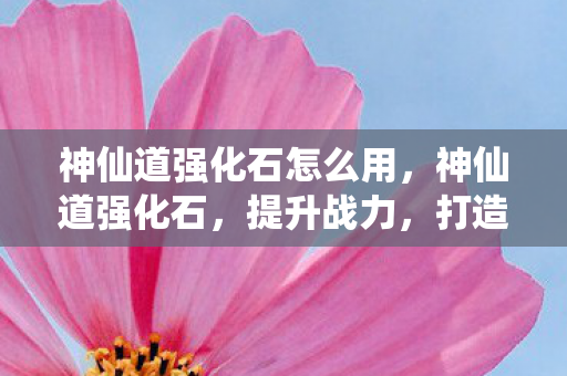 神仙道强化石怎么用，神仙道强化石，提升战力，打造无敌阵容