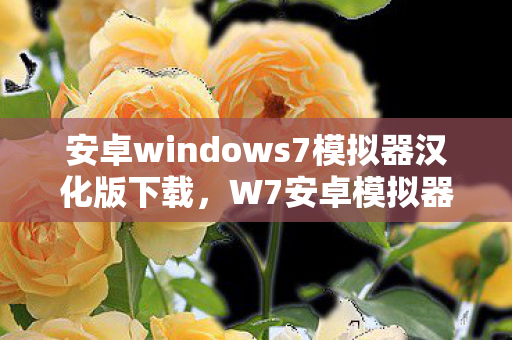 安卓windows7模拟器汉化版下载，W7安卓模拟器中文版，打造高效移动应用体验