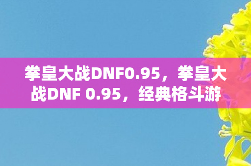 拳皇大战DNF0.95，拳皇大战DNF 0.95，经典格斗游戏的碰撞与融合