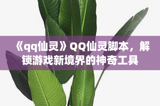 《qq仙灵》QQ仙灵脚本，解锁游戏新境界的神奇工具
