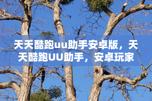 天天酷跑uu助手安卓版，天天酷跑UU助手，安卓玩家的极速选择