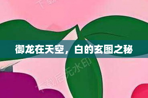 御龙在天空,白的玄图之秘 御龙在天空,白的玄图之秘
