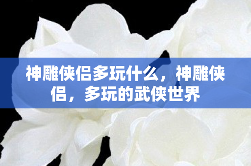 神雕侠侣多玩什么，神雕侠侣，多玩的武侠世界