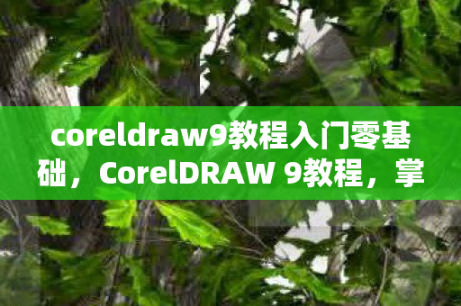 coreldraw9教程入门零基础，CorelDRAW 9教程，掌握矢量图形设计的基础技能