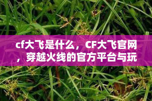 cf大飞是什么，CF大飞官网，穿越火线的官方平台与玩家社区