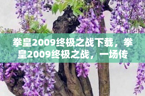 拳皇2009终极之战下载，拳皇2009终极之战，一场传奇的落幕