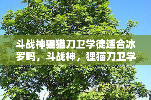 斗战神狸猫刀卫学徒适合冰罗吗，斗战神，狸猫刀卫学徒的崛起