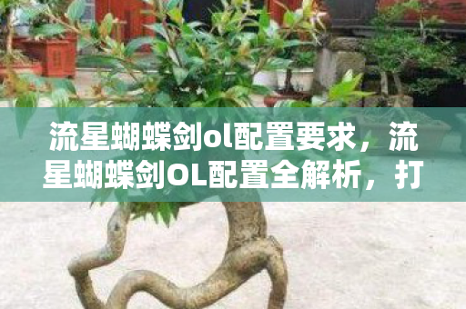 流星蝴蝶剑ol配置要求，流星蝴蝶剑OL配置全解析，打造流畅游戏体验