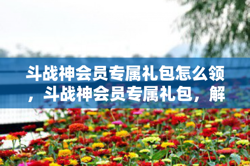 斗战神会员专属礼包怎么领，斗战神会员专属礼包，解锁你的游戏之旅