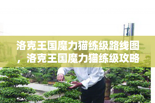 洛克王国魔力猫练级路线图，洛克王国魔力猫练级攻略