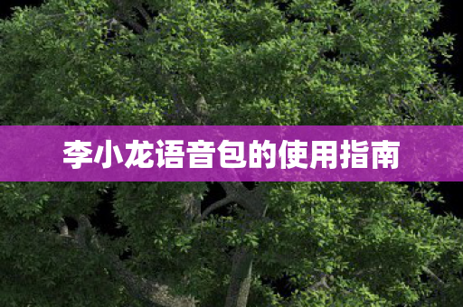 李小龙语音包的使用指南