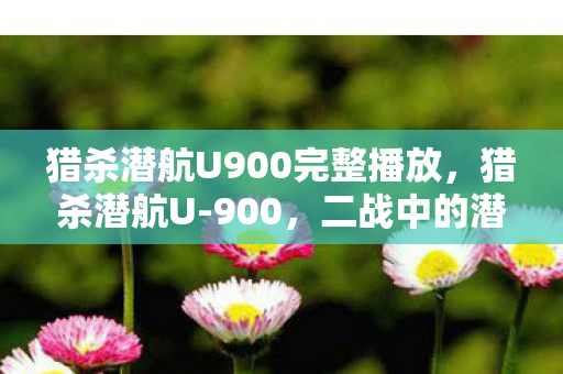 猎杀潜航U900完整播放，猎杀潜航U-900，二战中的潜艇传奇与战术揭秘