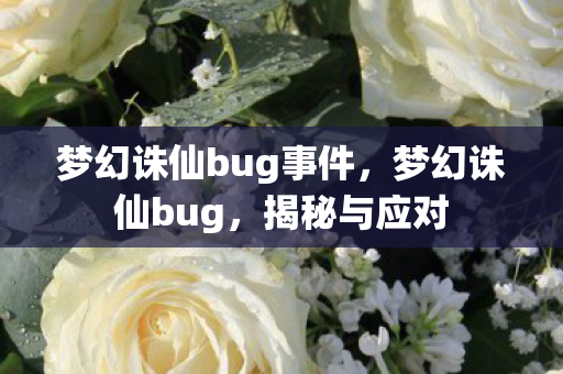 梦幻诛仙bug事件，梦幻诛仙bug，揭秘与应对