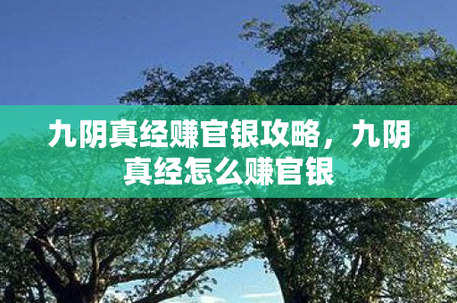 九阴真经赚官银攻略，九阴真经怎么赚官银