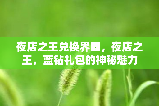 夜店之王兑换界面，夜店之王，蓝钻礼包的神秘魅力