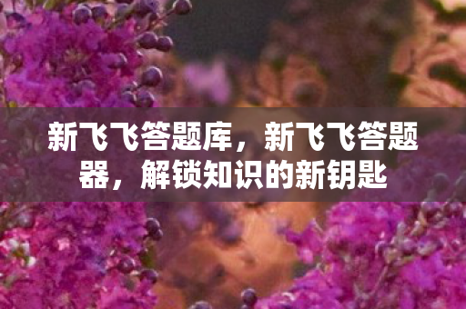 新飞飞答题库，新飞飞答题器，解锁知识的新钥匙